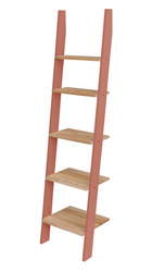 ASHME Ladder Shelf 45x35x180cm - Ashwood Shelves / Antique Pink